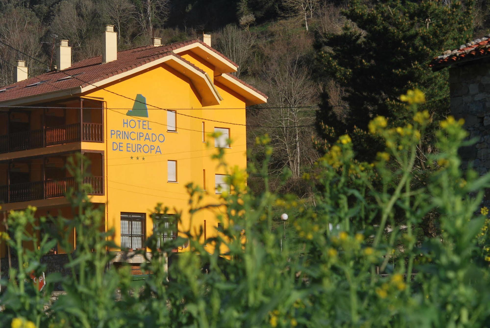 Hotel Principado De Europa Arenas De Cabrales Kültér fotó